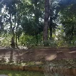 Departamento En La Naturaleza De Pucon