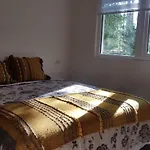 Departamento En La Naturaleza De Pucon