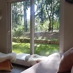 Departamento En La Naturaleza De Pucon