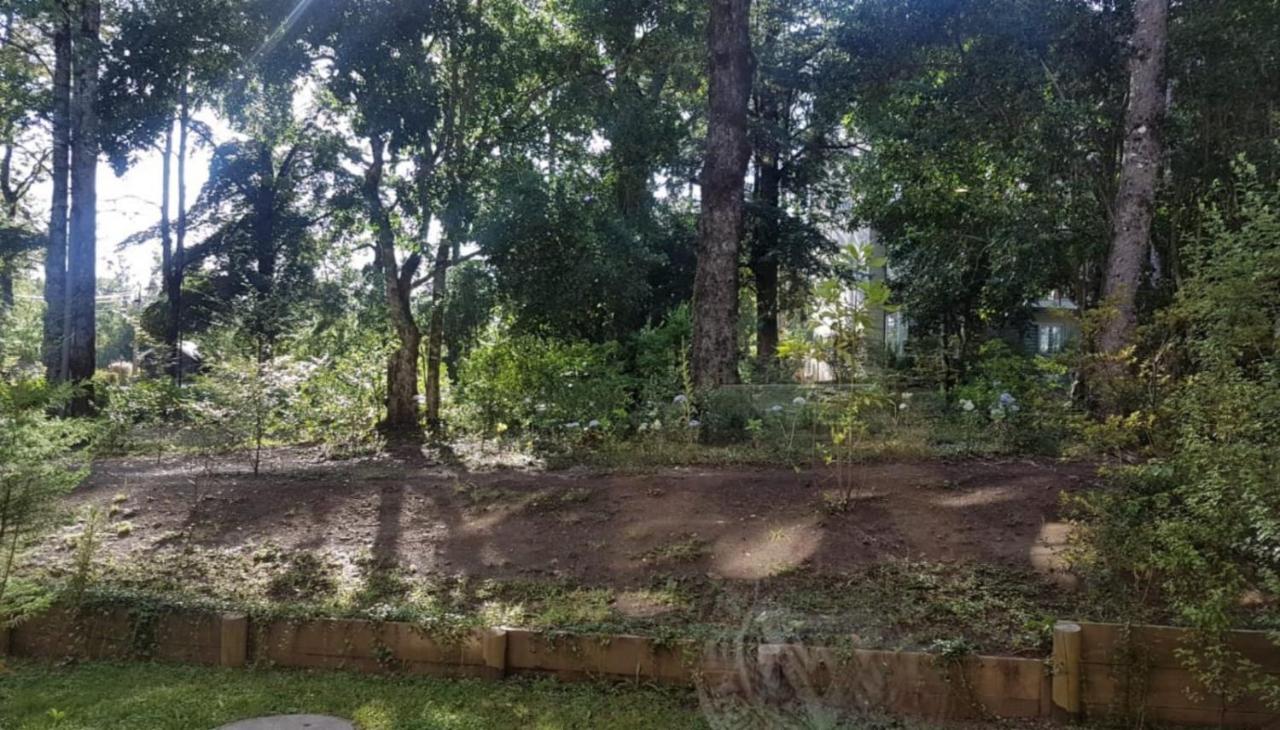 Departamento En La Naturaleza De Apartamento