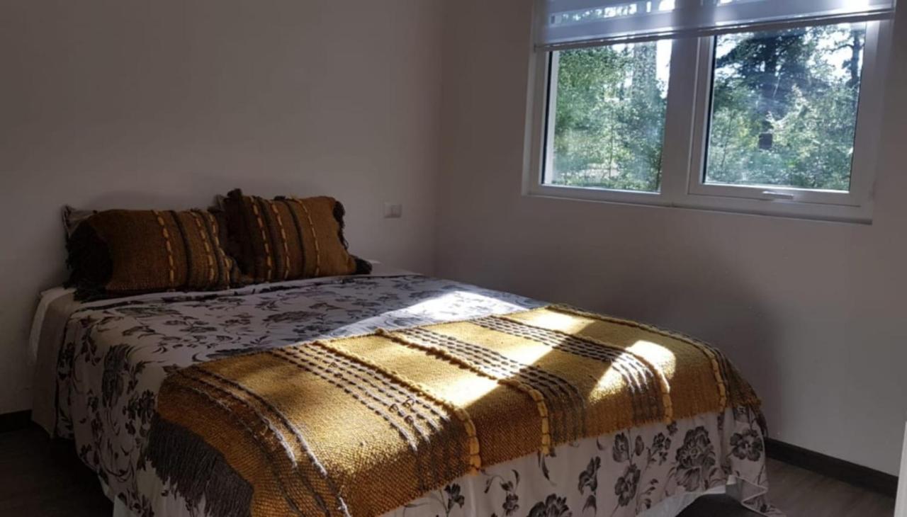 Departamento En La Naturaleza De Apartamento Pucón