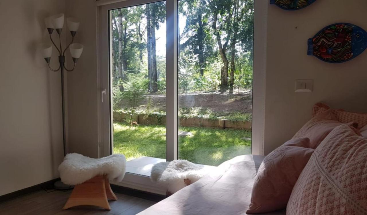 Departamento En La Naturaleza De Apartamento *