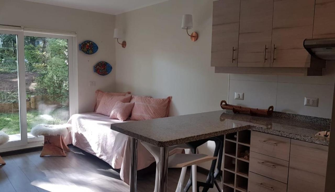 Apartamento Departamento En Camino Al Volcan *